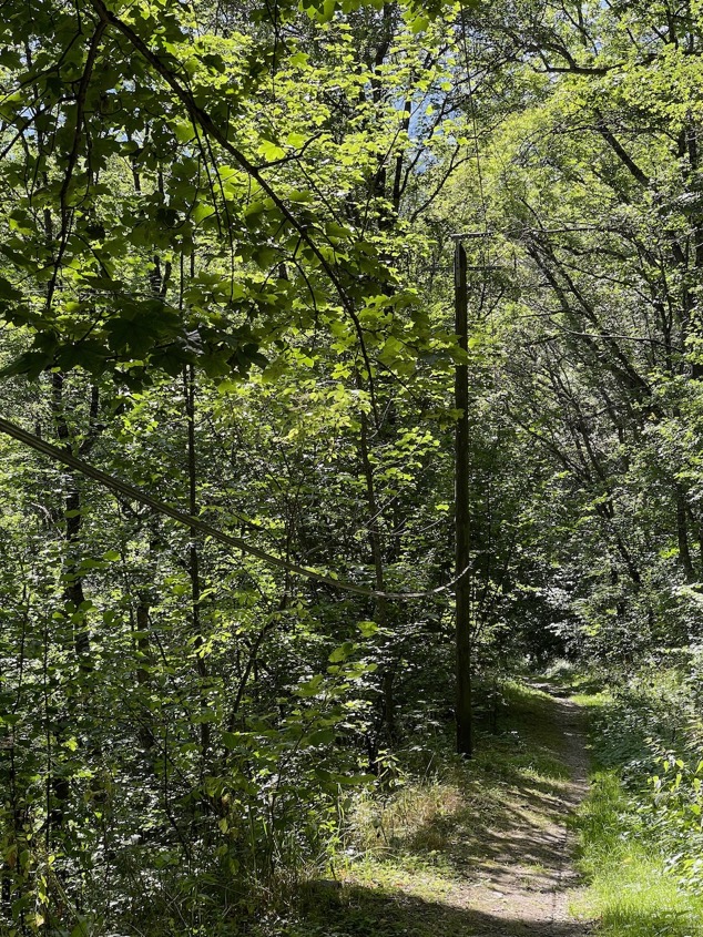 telephoneàporteedemain